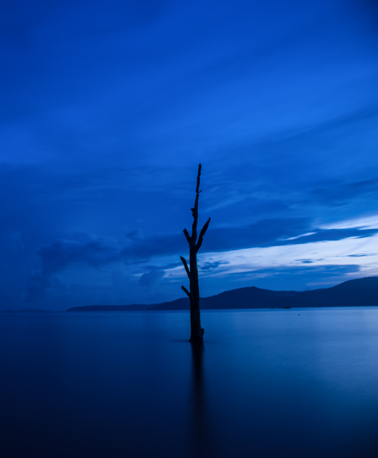 stillness-movement