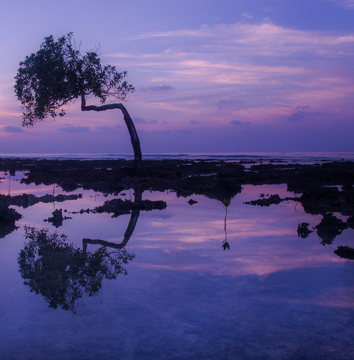 stillness-movement-2