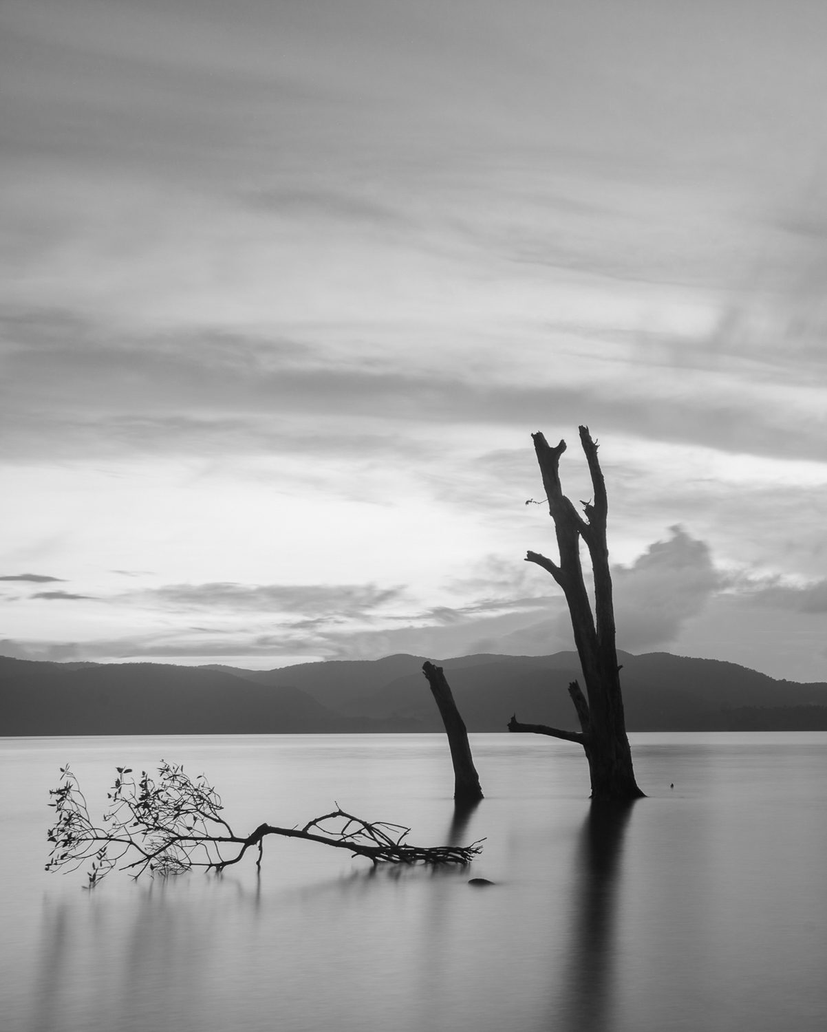 stillness-movement-3