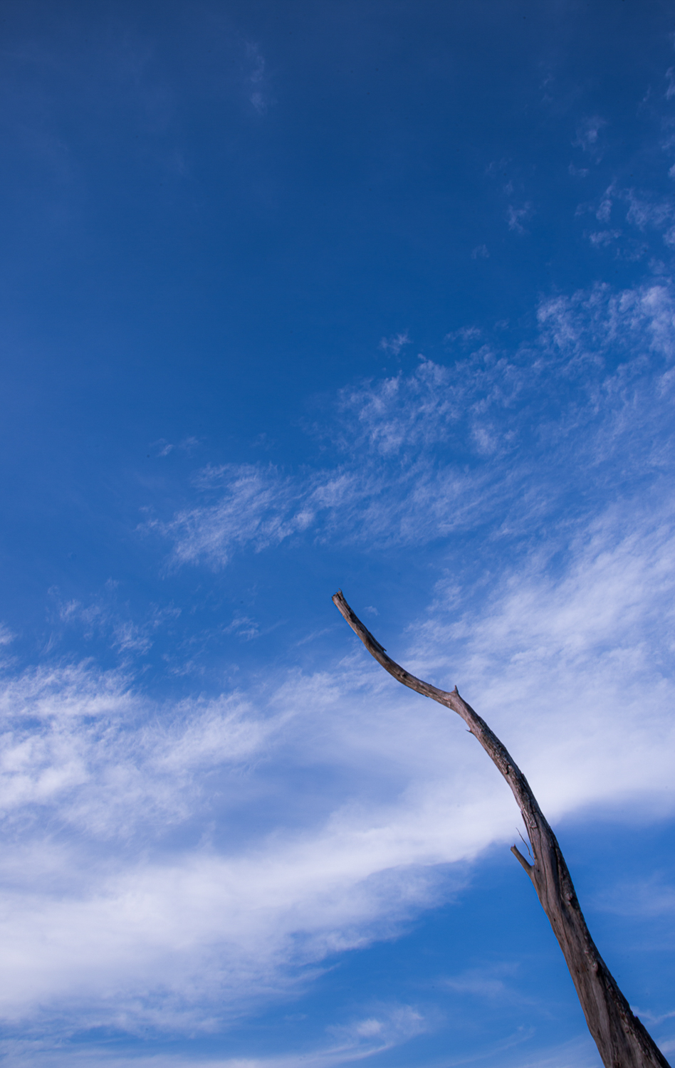 stillness-movement-7